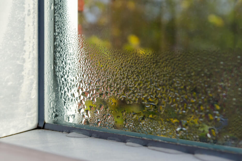 humidity and condensation on glass window